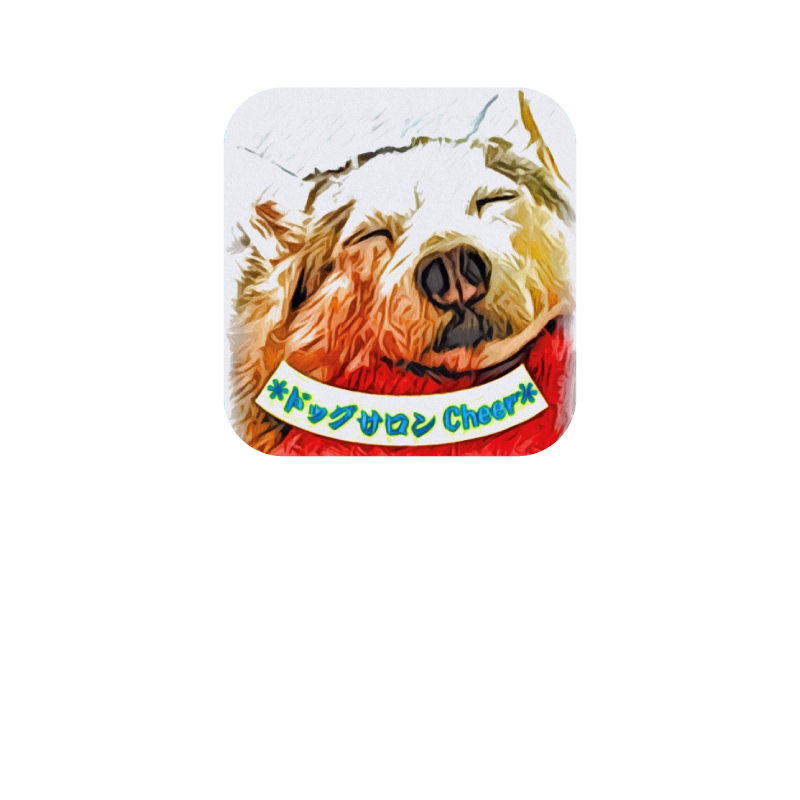 さいたま市西区にあるドッグサロンCheerは大型犬のトリミングも安心のドッグサロンです。   